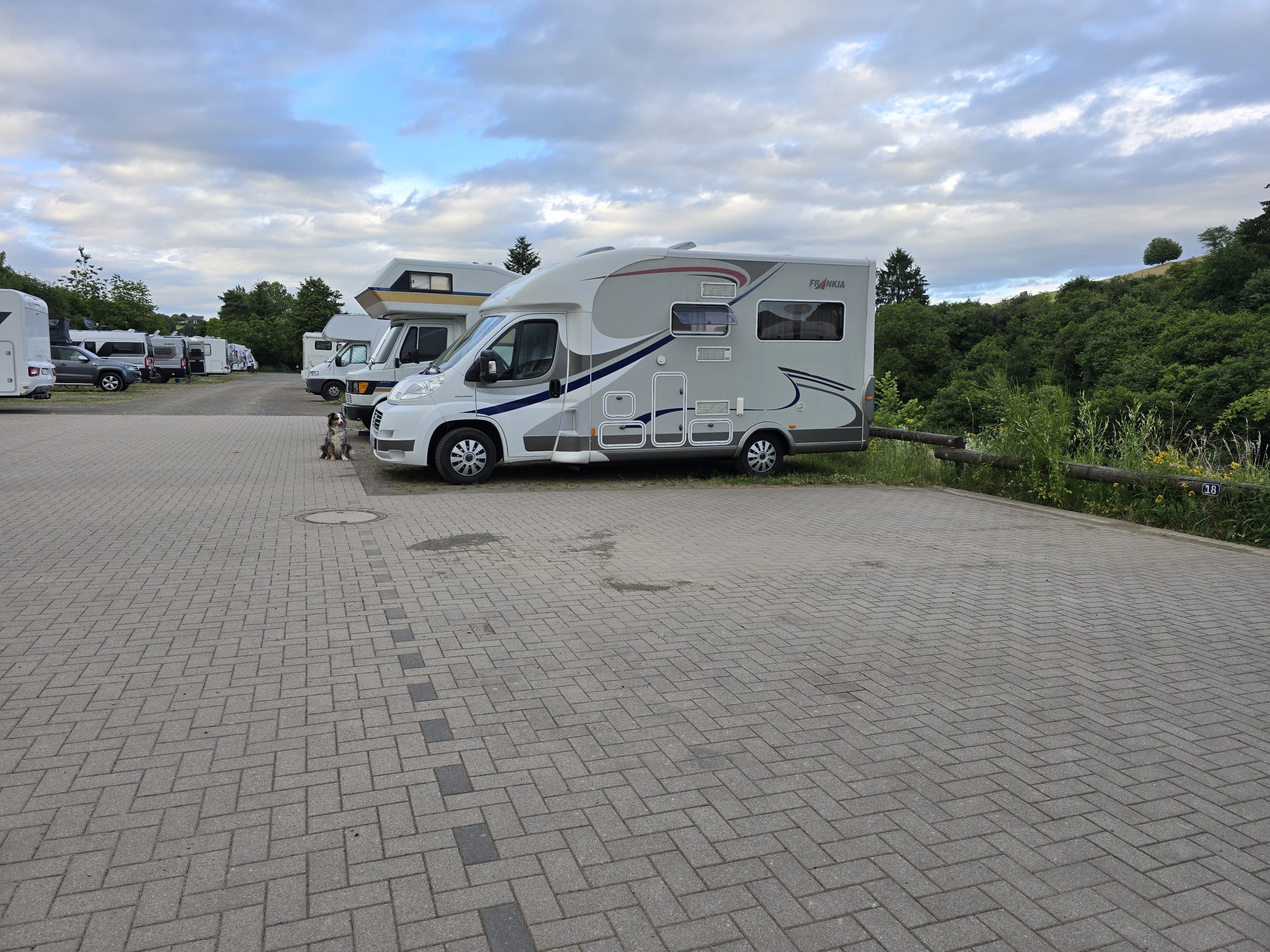 eine Reihe Wohnmobile auf einem gepflasterten Stellplatz in der Sonne, im Hintergrund Büsche und Bäume, darüber blauer Himmel mit weißen Wolken