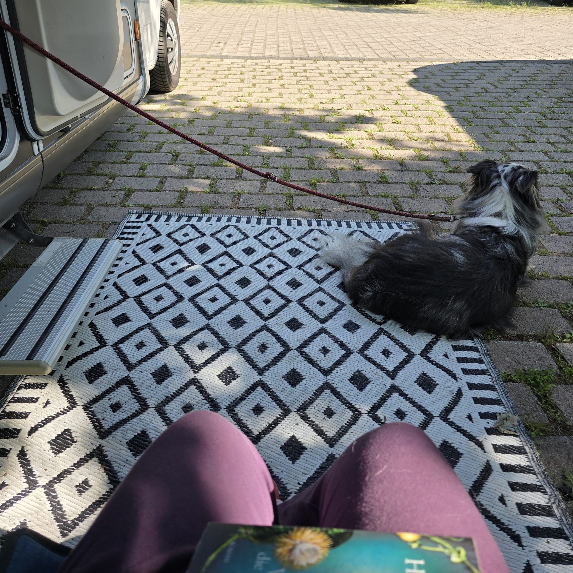 ein Hund liegt im Schatten auf einer schwarz-weißen Matte neben der offenen Seitentür des Wohnmobils, im Hintergrund steht vor einer Wiese ein PKW in der Sonne